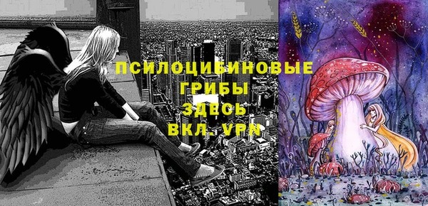 2c-b Арсеньев